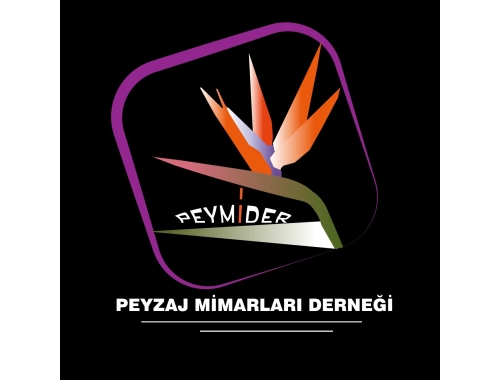 Cv ve Portfolyolar